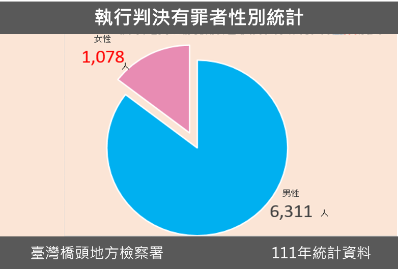 111年執行判決有罪者性別統計圖表