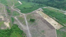 違規太陽能光電板基座已拆除，現場植生已舖設完成
